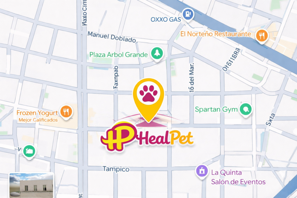 chatgpt image 4 feb 2026, 10 28 41